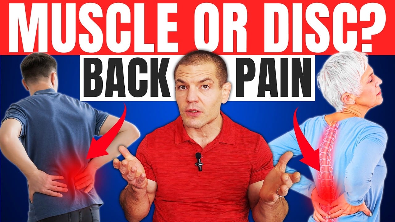 How to Determine If Back Pain Is Muscle or Disc