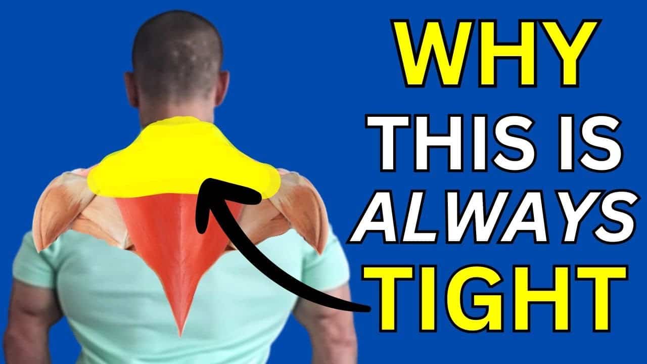 Why Your Neck and Shoulders Are Always Tight – Solutions