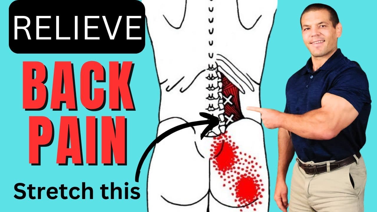 Best Quadratus Lumborum Stretch for Back Pain Relief