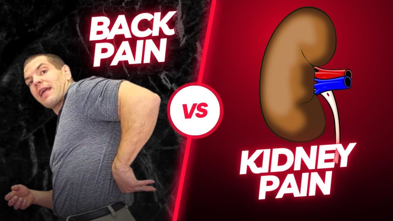 Back Pain vs Kidney Pain: Understanding the Differences